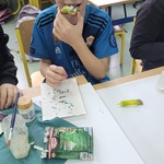 20241219_114234.jpg