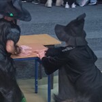 IMG_20251127_171645.jpg