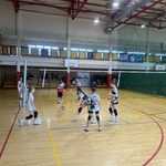 IMG_1317.jpeg