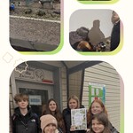 B6B85FC0-8015-48A6-AA5E-217074679D18-COLLAGE.jpeg