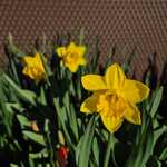 IMG-20260413-WA0000.jpg