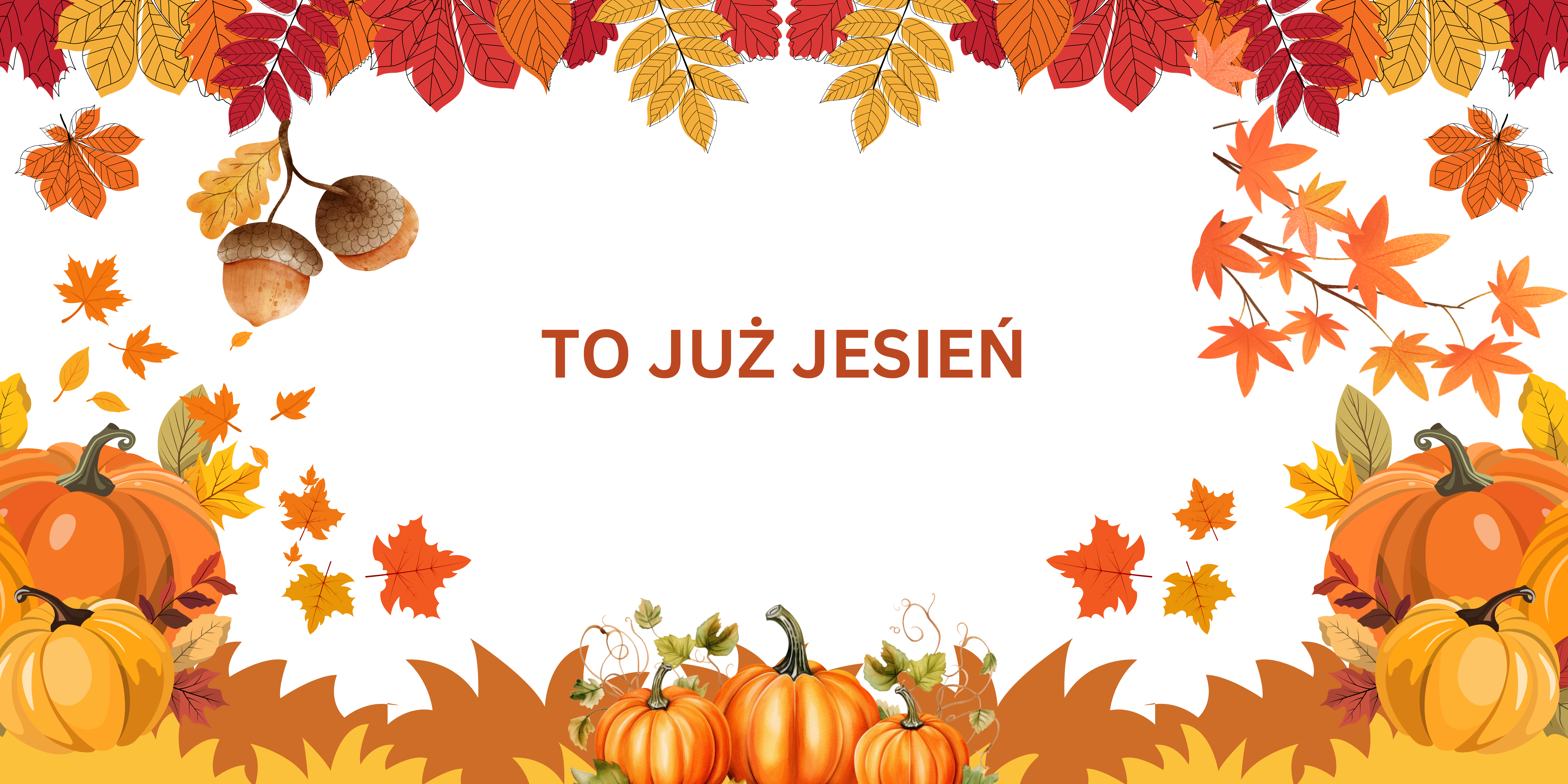 ień(1).png