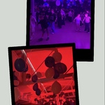 BB30F862-D47E-4661-B1D5-5E618E70FE17-COLLAGE.jpeg